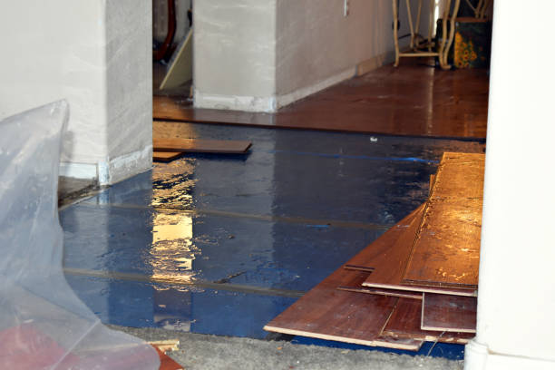 Professional Sewage Cleanup technician working in Monroeville, IN
